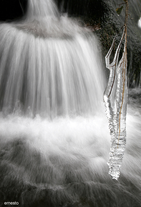 Dipingere con...l''acqua